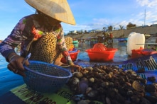 Bộ trưởng Bộ NN-PTNT: Vì danh dự, phải gỡ cho được “thẻ vàng EU”