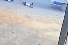 Vụ học sinh rơi xuống đường từ xe đưa đón: Tài xế dùng bằng giả