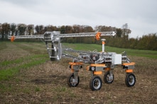Phát minh nông nghiệp: Robot tự động chích điện để diệt cỏ dại