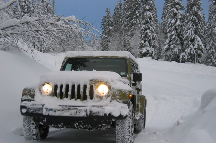 Vì quá tin GPS, thanh niên Canada bị mắc kẹt và thiệt mạng trong đói rét