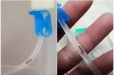 Đi chữa bệnh cúm, gặp phải con sâu trong ống truyền dịch