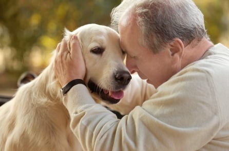 Người đàn ông ở Đức tử vong vì bị chó cưng liếm