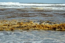 Công bố nguyên nhân khiến nước biển Quảng Ngãi có màu đen