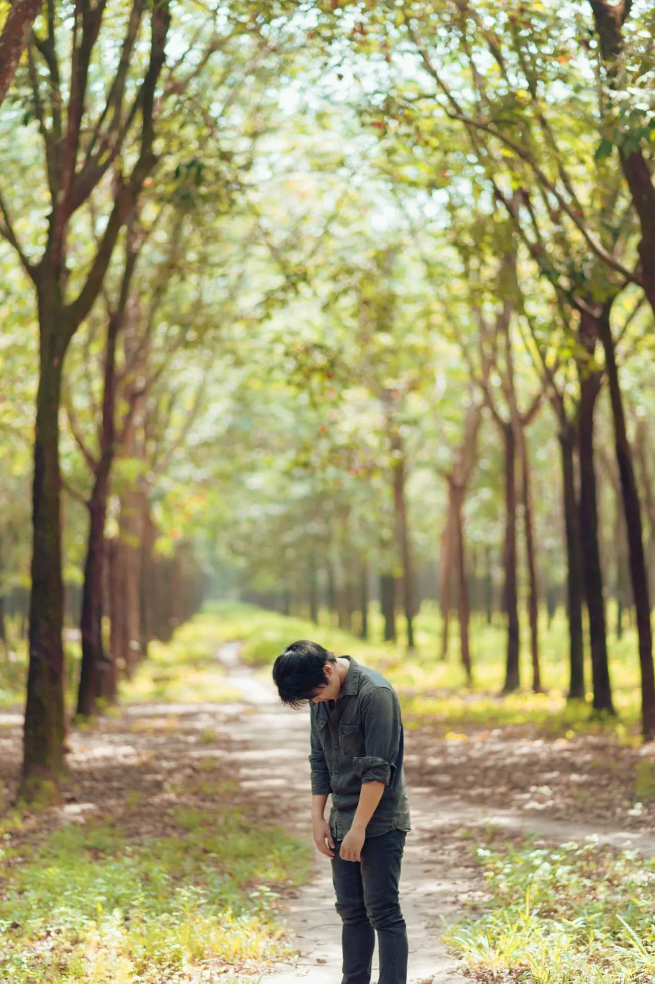 photo of person standing in between trees 1258777