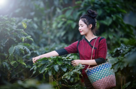 7 vị thuốc trị tâm trong đời