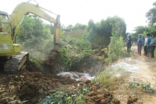 Tiêu hủy hàng ngàn con lợn nhập lậu từ Campuchia