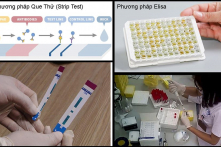 Cắt đôi que thử HIV, viêm gan B, trộn 4 mẫu máu để xét nghiệm: Sai trái như thế nào?