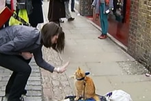 Người vô gia cư nghiện ma túy nặng được ‘hồi sinh’ nhờ một con mèo