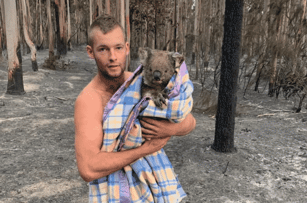 Cháy rừng ở Úc: Cách bạn có thể giúp đỡ người dân và động vật bị ảnh hưởng