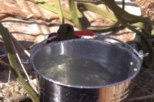 Bình Phước: Nghi vấn bỏ thuốc trừ sâu vào nước giếng vì mâu thuẫn