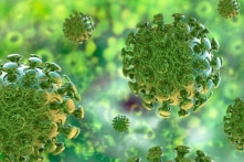 Bệnh nhân Trung Quốc tại Bến Tre âm tính với virus corona