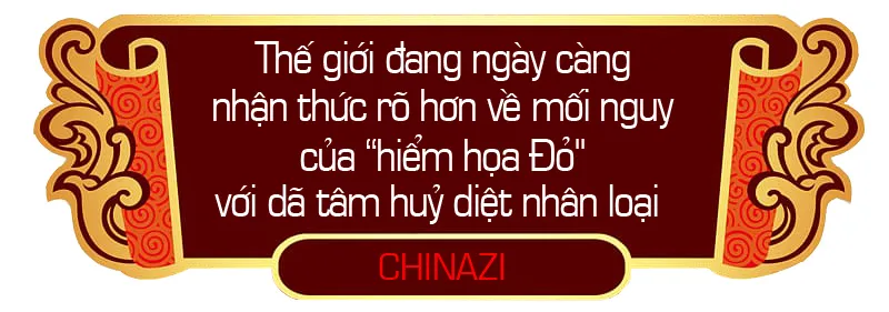 Chinazi sapo 5