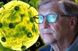 bill gates virus