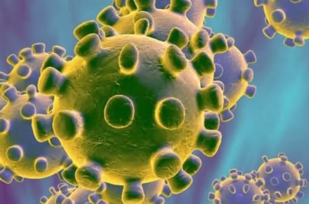 Giới y học chỉ ra nhiều khó khăn trong việc kiểm soát virus corona