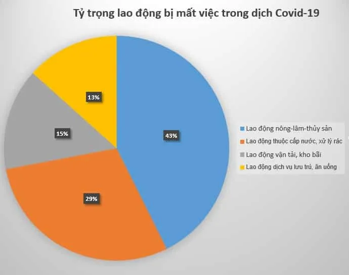 corona lao động mất việc