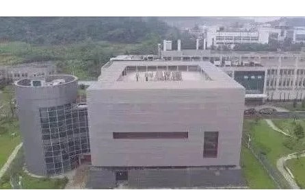 Liệu WHO có thu được kết quả chuẩn xác về COVID-19 sau khi đến TQ?