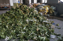 Trung Quốc: Thực phẩm cứu trợ bị chính quyền đánh cắp hoặc để thối trong kho