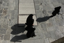 Iran lắp camera ở nơi công cộng để xác định phụ nữ không mặc đúng quy định