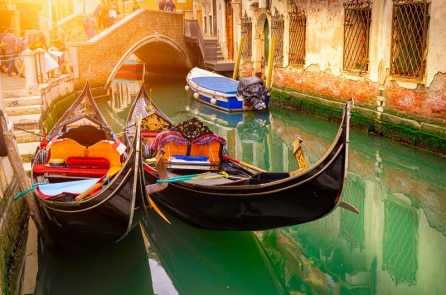 Điểm sáng giữa dịch: Kênh đào Venice không còn đông nghịt khách du lịch