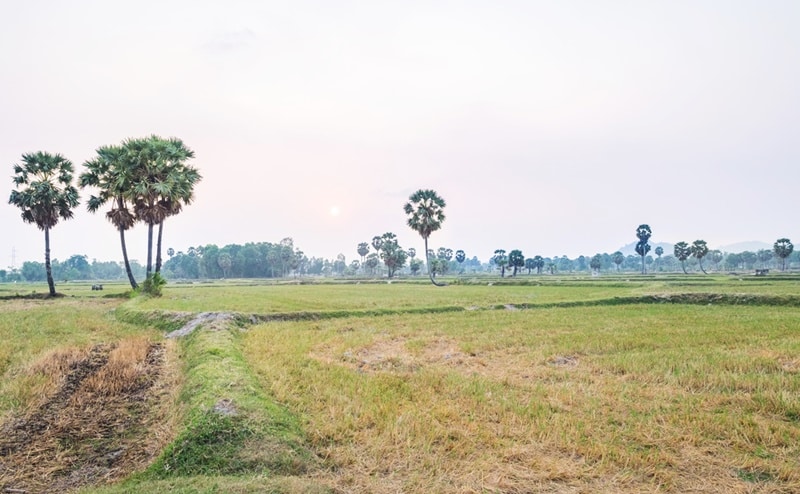 mekong han man lu 1