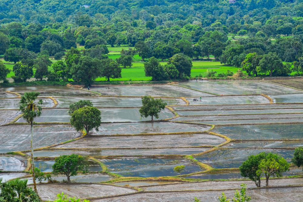 mùa lũ ở An Giang, ĐBSCL