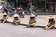 Nhóm ‘ăn xin’ tại phố cổ Hội An là người nhà của Vũ ’nhôm’