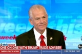 peter navarro