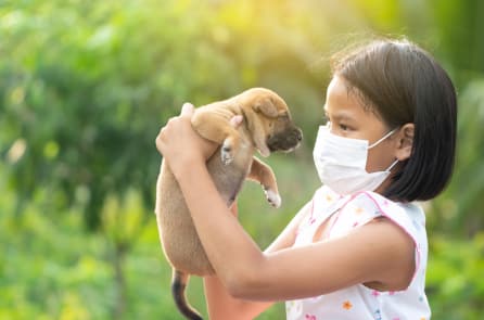 Anh, Mỹ chính thức thử nghiệm chó đánh hơi phát hiện COVID-19