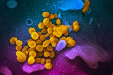 Ước tính thời gian ủ bệnh virus Vũ Hán trung bình là 5 ngày