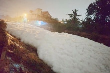 Kênh, suối Bình Dương bị ‘phủ tuyết trắng’: COD vượt chuẩn 121 lần