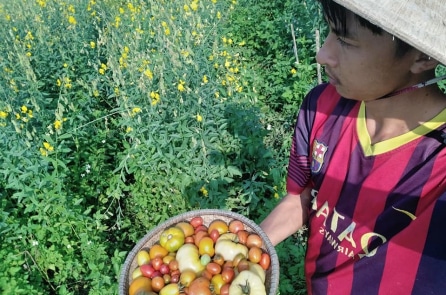 Chàng kỹ sư hóa dầu bỏ nghề về làm… nông dân