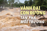 vanh dai va con duong cover