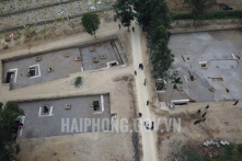 Hải Phòng chi hơn 427 tỷ đồng xây Khu bảo tồn bãi cọc Cao Quỳ