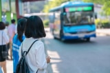 bus ha noi