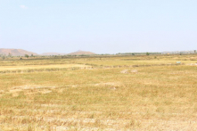 Bình Thuận công bố tình huống khẩn cấp do hạn hán