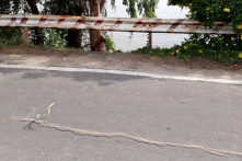 Quốc lộ 91 tiếp tục nứt dài 20m, nguy cơ sạt lở xuống sông Hậu