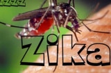 virus Zika, Đà Nẵng