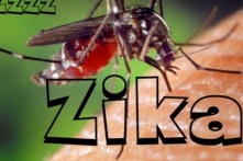 Bệnh nhân mắc virus Zika tại Đà Nẵng đã bình phục
