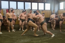 20 đô vật sumo giải cứu người phụ nữ nhảy sông tự vẫn