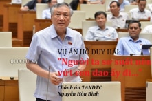 Vi hiến