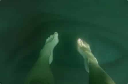 27 bức ảnh cho thấy chứng sợ biển sâu là có thật