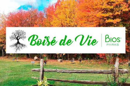 ‘Công viên sinh học’ trồng cây từ tro cốt của người đã khuất