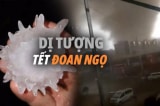 di tuong doan ngo