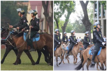 Nhiều nhận xét từ cộng đồng mạng về đoàn ‘cảnh sát cơ động kỵ binh’ diễu hành