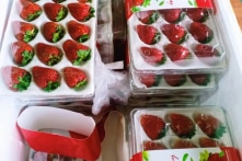 Dâu tây Trung Quốc nhập lậu vào Đà Lạt có dư lượng thuốc trừ sâu gấp 3 lần