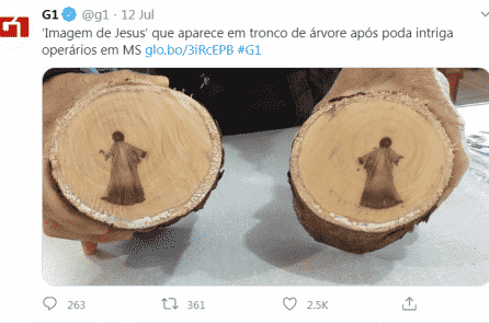 Hình ảnh Chúa Jesu xuất hiện trên mặt cắt thân cây