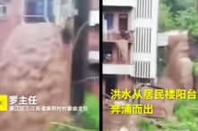 [VIDEO] Mưa lũ ở Trùng Khánh: Lầu ba nhà dân biến thành thác nước