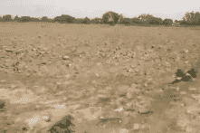 Trực thăng và drone của Ấn Độ nghênh chiến đàn châu chấu tiến đến thủ đô