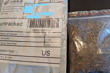 50 bang ở Mỹ đều nhận được hạt giống gửi từ Trung Quốc
