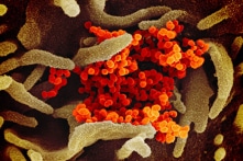 COVID-19: Nghiên cứu mới cho thấy không dễ dàng để nắm bắt virus lây lan